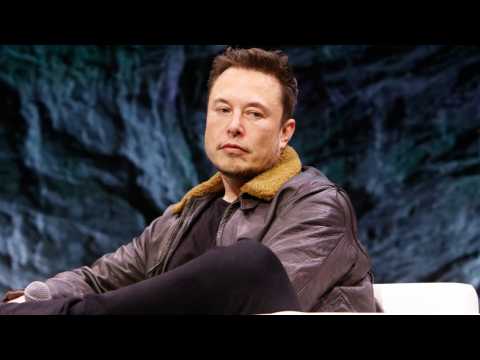 VIDEO : Stan Lee Backs Up Elon Musk On 