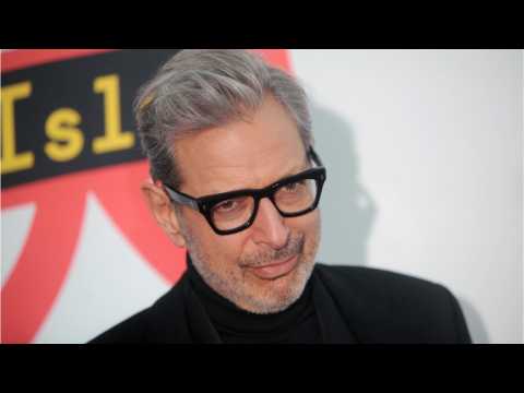 VIDEO : Will Jeff Goldblum Make An Appearance In 'Avengers 4'