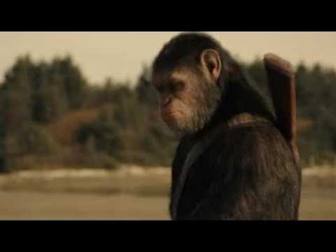VIDEO : Why PETA Loves ?War For the Planet of the Apes?