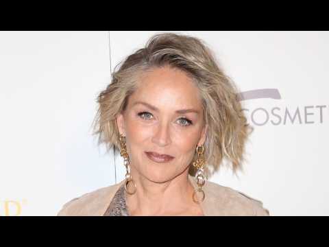 VIDEO : Sharon Stone ?Won?t Be Pitted Against? Madonna