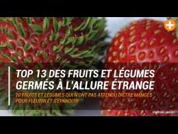 15 fruits et légumes insolites