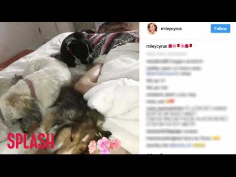 VIDEO : Miley Cyrus Poses Topless With 3 Puppies in Bed