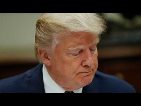 VIDEO : Donald Trump May Sue 'Sharknado' For Presidency Role
