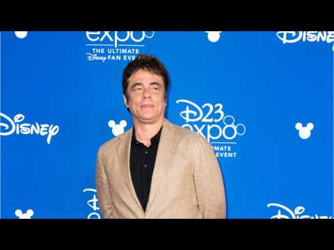 VIDEO : Benicio Del Toro Talks About His Character In Star Wars: The Last Jedi