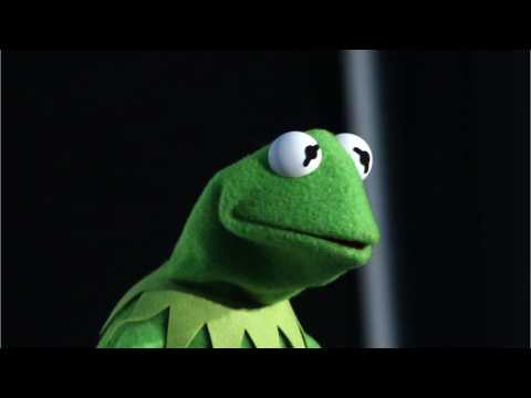 VIDEO : Kermit Actor Canned For 'Unacceptable' Conduct