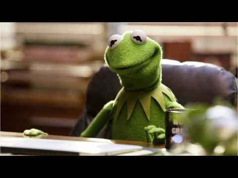 VIDEO : Kermit The Frog Actor Fired Over 'Unacceptable Business Conduct'
