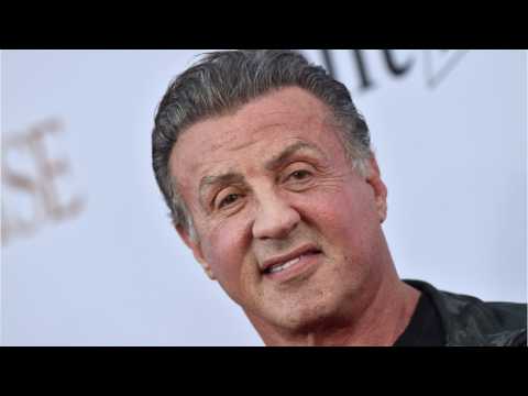 VIDEO : Sylvester Stallone And 'This Is Us' Wifi Mishap