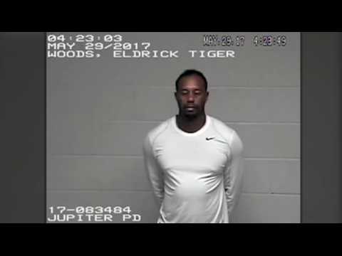 VIDEO : Tiger Woods Had Painkillers and THC in His System