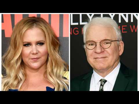 VIDEO : Amy Schumer to star in a Steve Martin play on Broadway