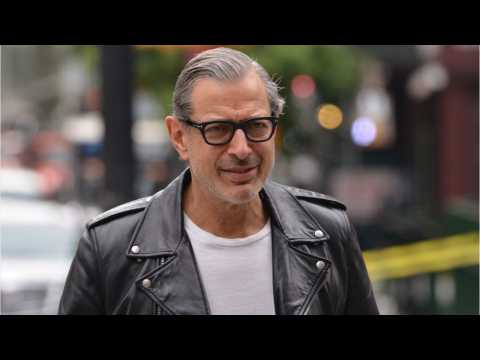 VIDEO : Jeff Goldblum Settled Marvel Vs. DC Debate