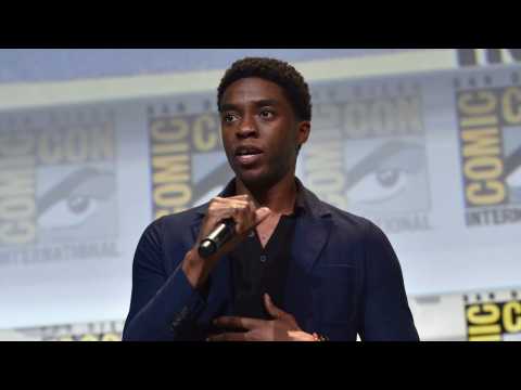 VIDEO : Stan Lee Praises Black Panther Star Chadwick Boseman