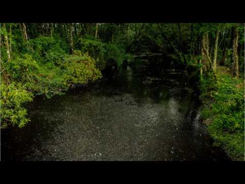 VIDEO : 'Swamp Thing' Adds New Cast Member Maria Sten