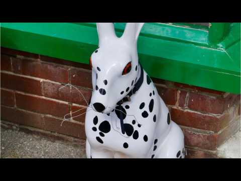 VIDEO : Why Does The Dog's Ear Look Like Its Face In This Pic?