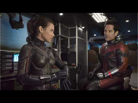 VIDEO : Evangeline Lilly Shares Photo From Costume Fitting For 'Ant-Man And The Wasp'