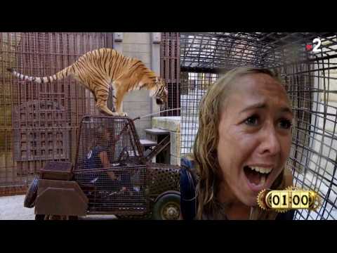 VIDEO : Enora Malagr en panique avec un tigre (Fort Boyard) - ZAPPING PEOPLE DU 10/09/2018