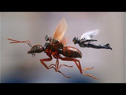 VIDEO : 'Ant-Man and the Wasp' Pushes Franchise Over $1 Bil Mark