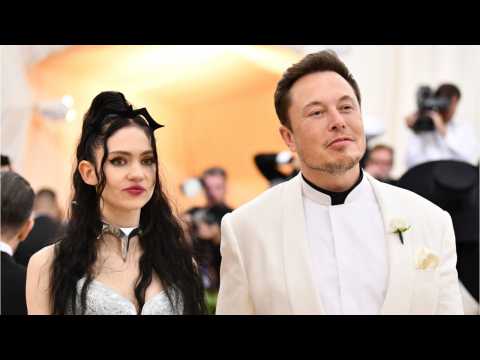 VIDEO : Elon Musk Refollows Grimes On Twitter