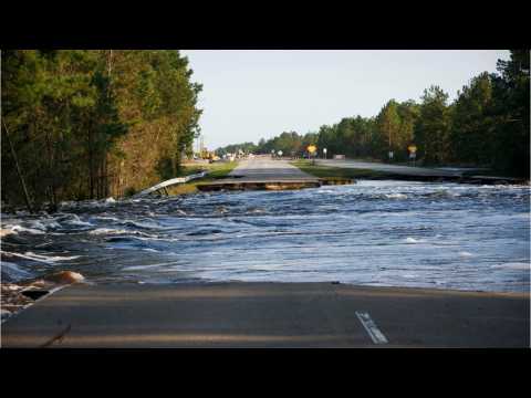 VIDEO : Interstate Left Covered In Fish?