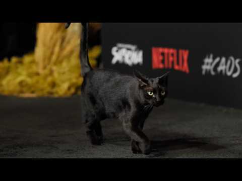 VIDEO : Does Salem The Cat Talk In 