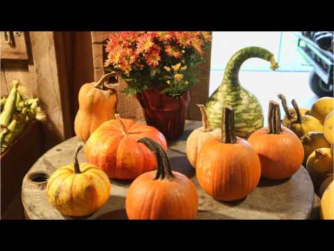 VIDEO : Home Lighting And Sound For Halloween
