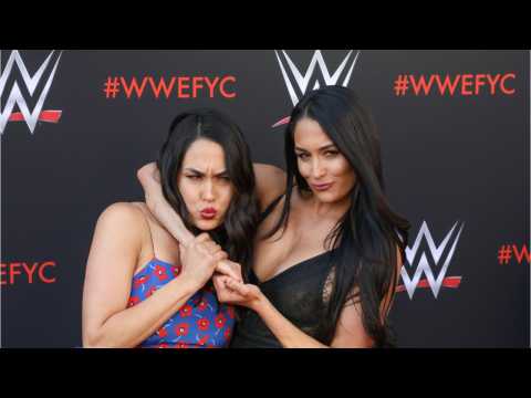 VIDEO : WWE Taz Criticizes WWE?s Handling Of Liv Morgan's Head Injury