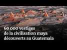 60 000 vestiges de la civilisation maya découverts au Guatemala