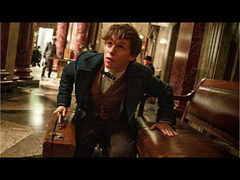 VIDEO : Fantastic Beasts Nagini Reveal Sparks Controversy