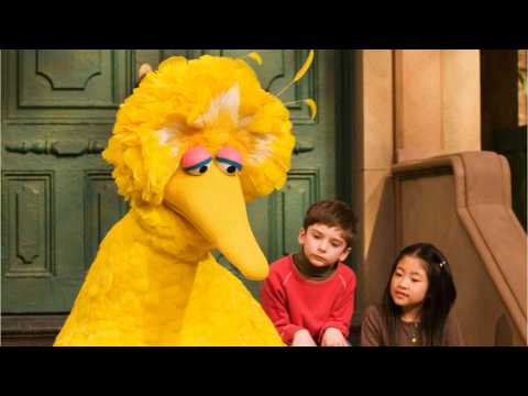 VIDEO : ?Sesame Street? Legend Caroll Spinney Retiring Big Bird After 50 Years
