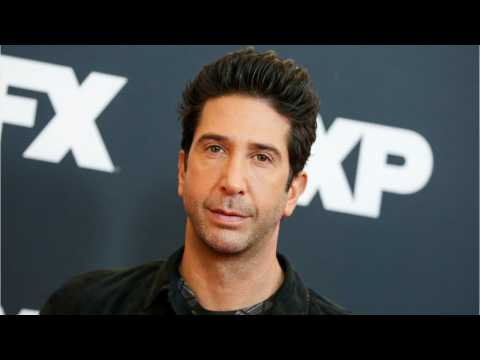 VIDEO : David Schwimmer Swears He's Not The Alcohol Bandit