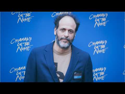 VIDEO : Luca Guadagnino Addresses Title Suggestions For Call Me By Your Name Sequel