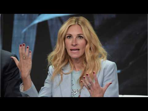VIDEO : Julia Roberts Responds To Rude Instagram Post With Grace And Humor