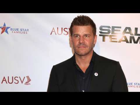 VIDEO : David Boreanaz Becomes Chosen Actor By Fans For The 'Green Lantern'