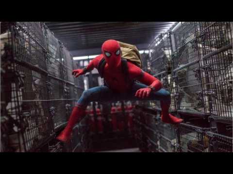 VIDEO : 'Spider-Man' Art Book Reveals Unused Alternate Costume