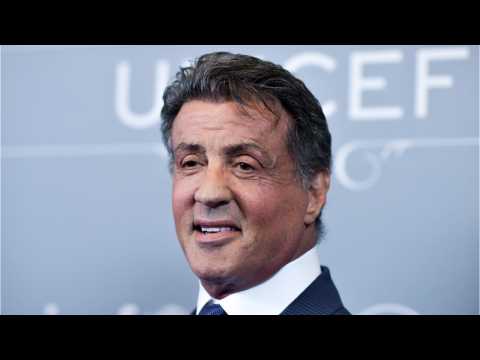 VIDEO : Sylvester Stallone Shows Off Rambo's Man Cave