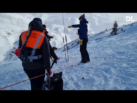 Vol de violoncelle à 1 4 million deuros réaction de la musicienne à l