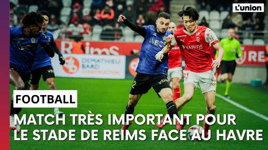 Vidéos Stade de Reims Le Havre l avant match avec Luka Elsner L