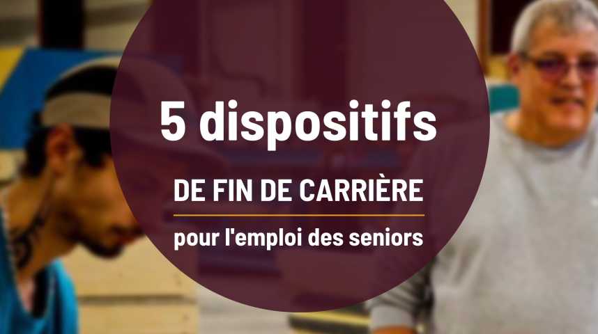 Vid Os Dispositifs De Fin De Carri Re Pour L Emploi Des Seniors L