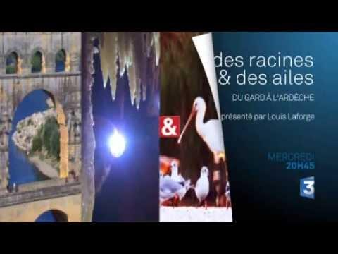 the escort bande annonce Gard the escort bande annonce Gard
