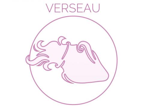 VIDEO : VERSEAU : Une semaine satisfaisante des contacts et des rendez-vous gratifiants