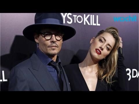 VIDEO : Dog Drama: Johnny Depp's Wife Charged With Smuggling Pooches