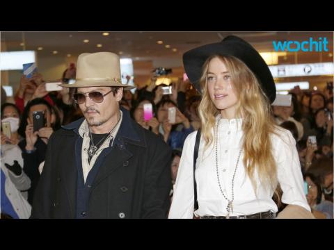 VIDEO : Australia Charges Johnny Depp's Wife With Smuggling Dogs Into the Country