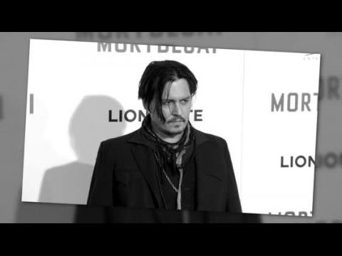 VIDEO : Johnny Depp Could Face Jail for Illegally Brining Dogs Into Australia