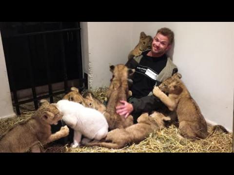 VIDEO : Kellan Lutz Plays With Baby Lions at the Black Jaguar White Tiger Foundation
