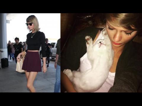 VIDEO : Taylor Swift Chic At LAX But Will Miss Her Cats While Away