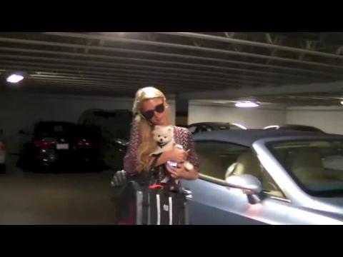 VIDEO : Paris Hilton Flaunts Her Favorite New Accessory: Prince the Pomeranian