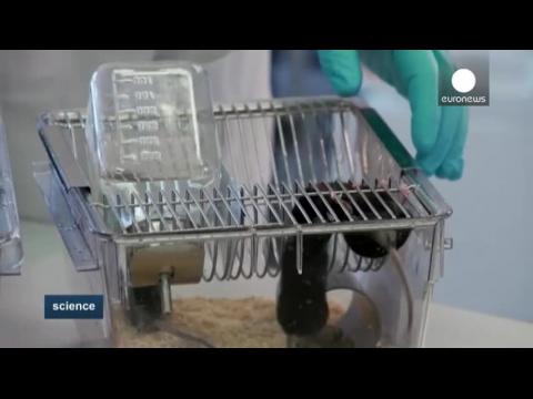Les dernières avancées en matière de lutte contre le diabète