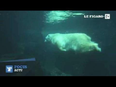 rencontre avec le ml