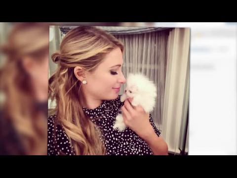 VIDEO : Paris Hilton Pays $25 Thousand Dollars For Two New Dogs