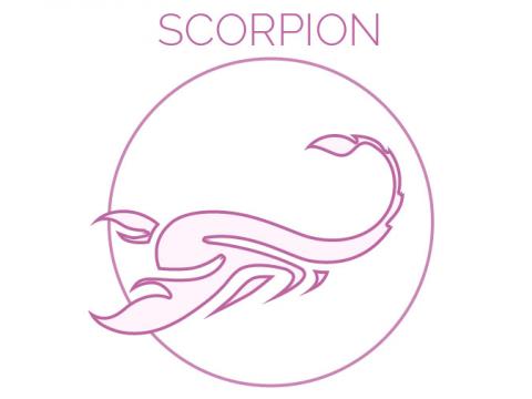 VIDEO : SCORPION : Vous devrez faire le dos rond en attendant des jours meilleurs