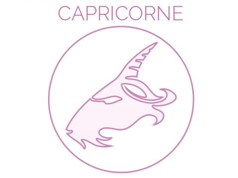VIDEO : CAPRICORNE : Le secteur des finances sera mis en lumire